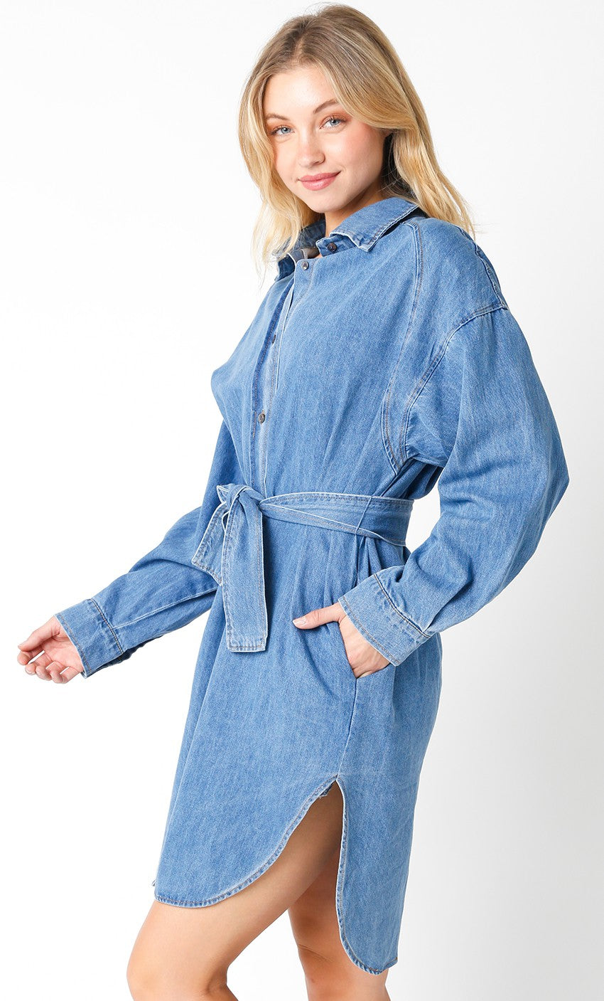 Margo Denim Dress