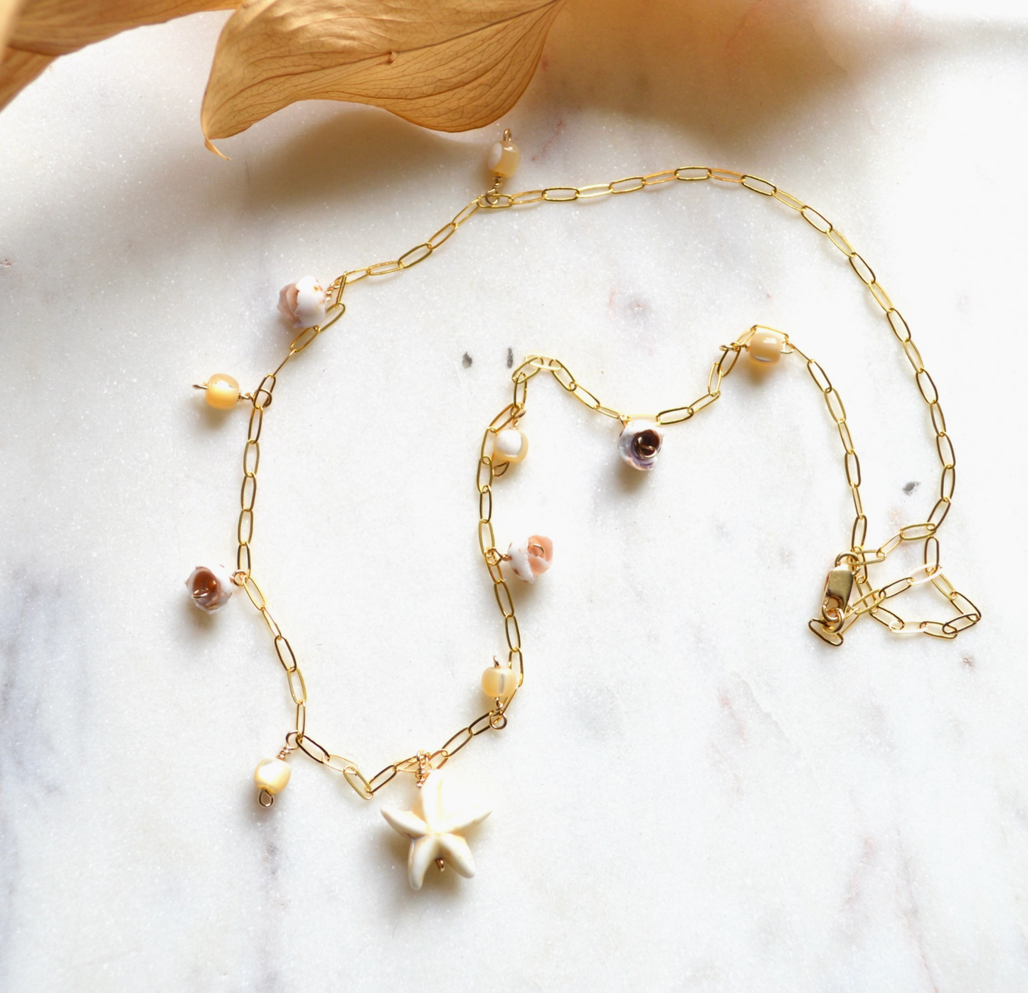 Star Shell Necklace - Gold