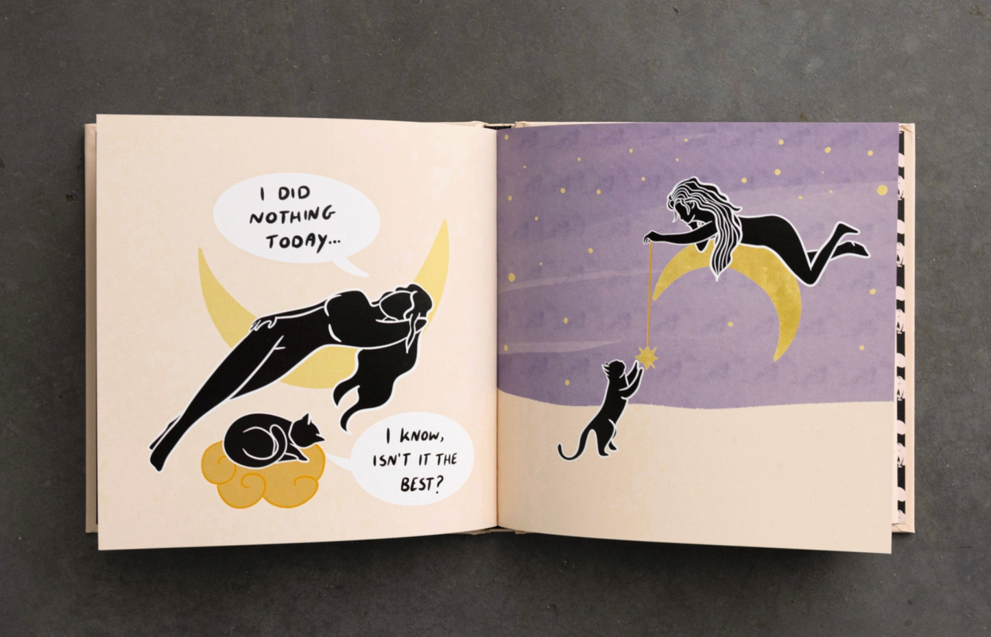 Conversations with My Cat Book