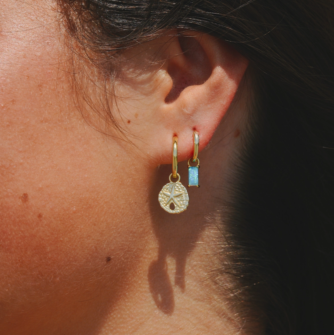 Sand Dollar Hoops