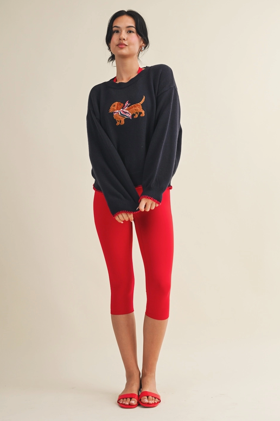 Dachshund Sweater