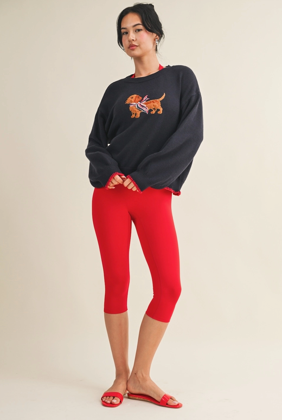 Dachshund Sweater