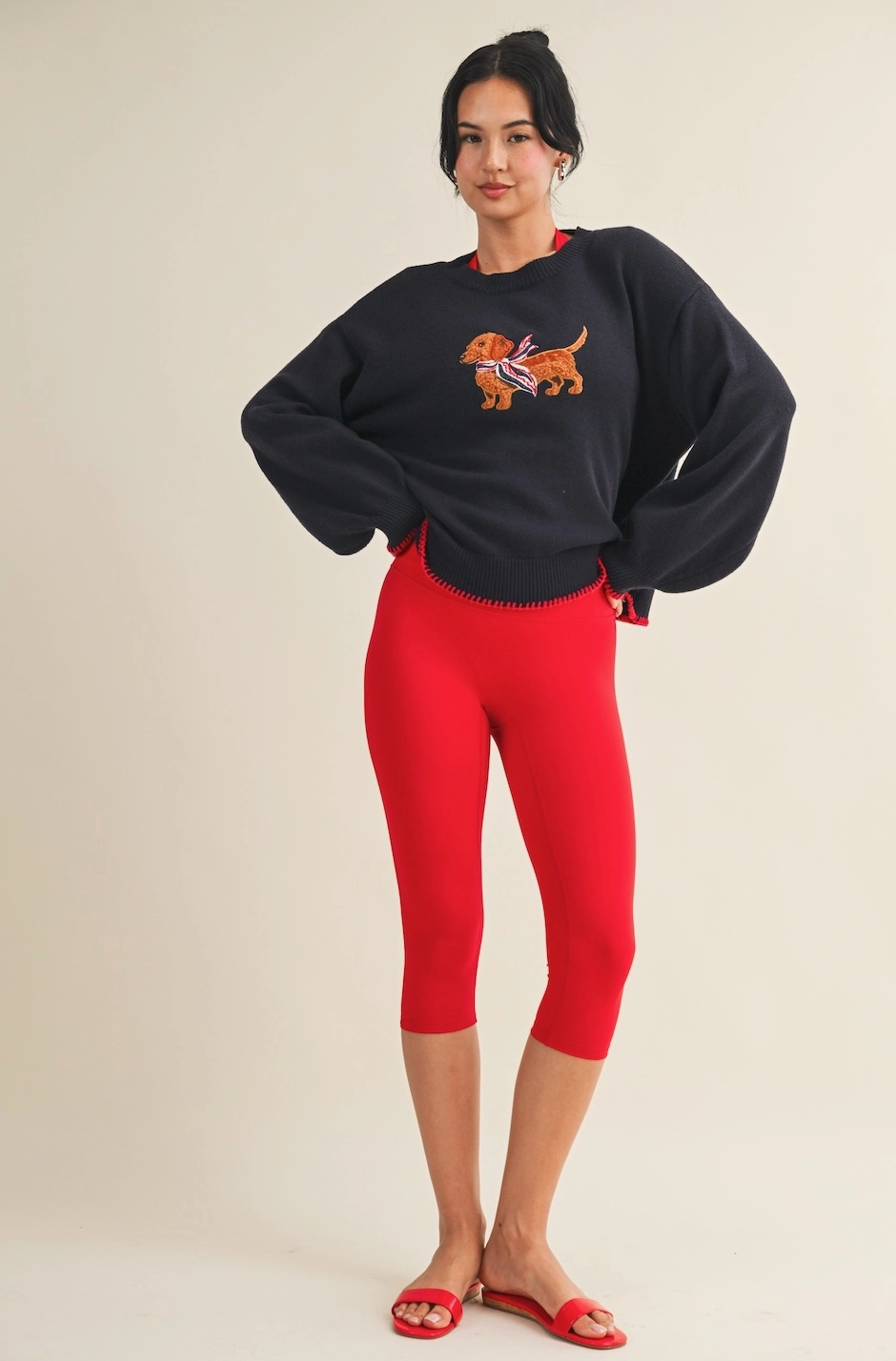 Dachshund Sweater