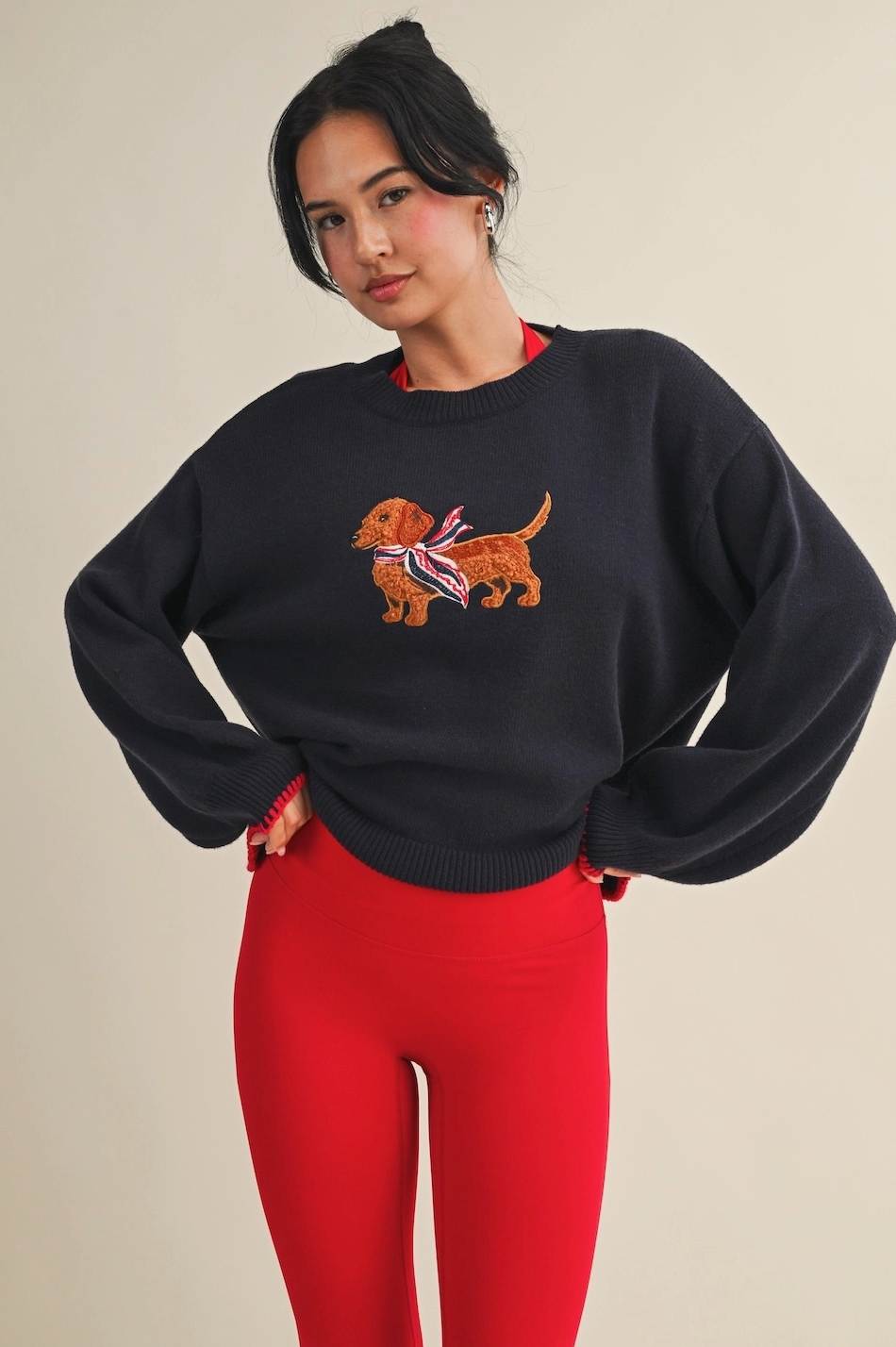 Dachshund Sweater