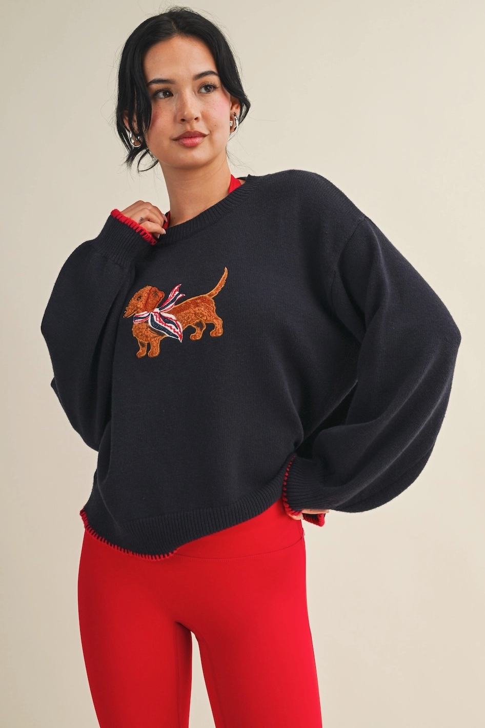 Dachshund Sweater
